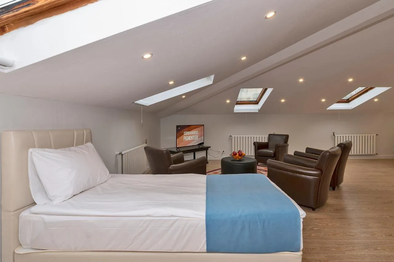 Febor Park Istanbul Levent Hotel 3*,  Turecko